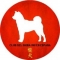 clubshibainuspain