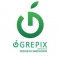 grepixit